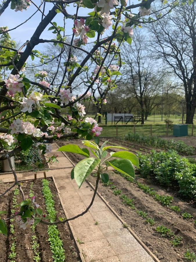 Cascina Bellaria Vandrerhjem Milano Eksteriør bilde